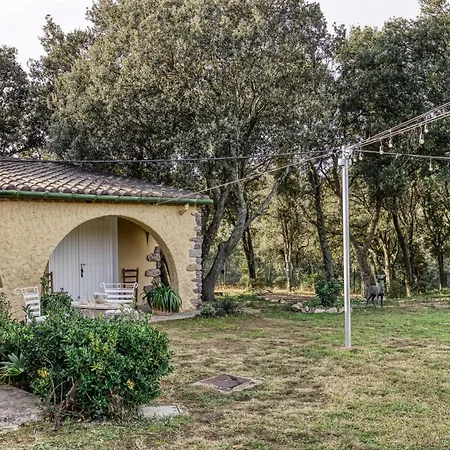 Bosque Girona