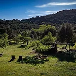 Bosque Daire
