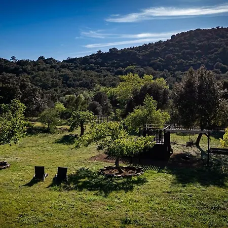 Bosque Apartman